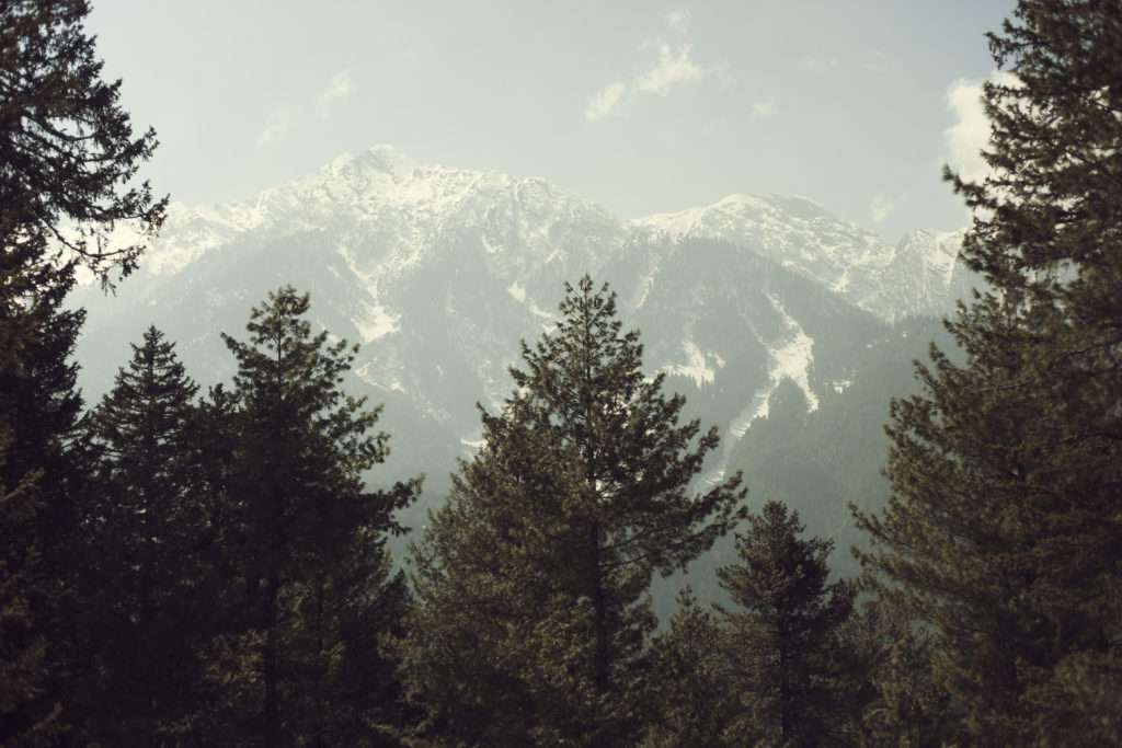 kashmir 2020 free kashmir kashmir 2020 free kashmir